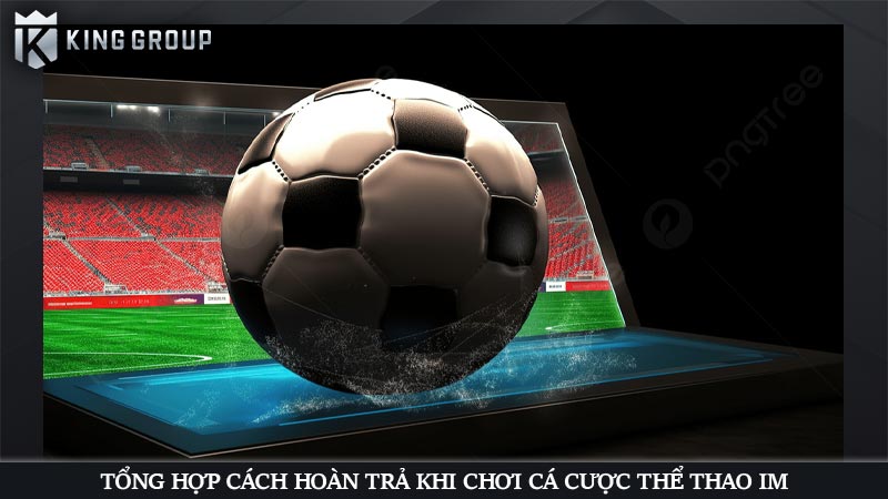 Tổng hợp cách hoàn trả khi chơi cá cược thể thao IM